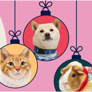 Spend $100, Get $30 E-Gift Card @ Petco