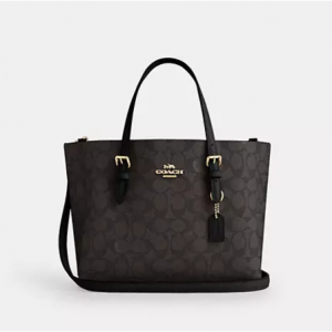 Coach Mollie 25 托特包