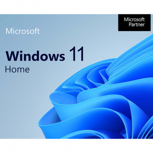 Microsoft Windows 11 家庭版