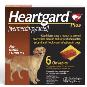 Heartgard Plus 驱虫狗用咀嚼物，51-100 磅，（棕色盒子）