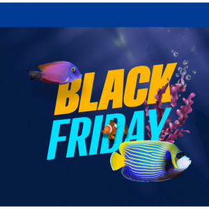 Black Friday - save Up to 20% off attractions @Booking.com