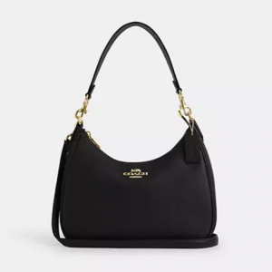 Coach Teri Hobo Bag