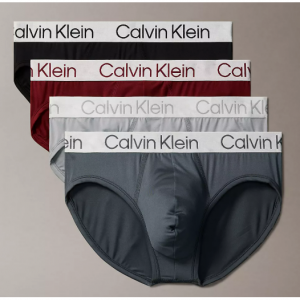 Chromatic 4-Pack Hip Brief