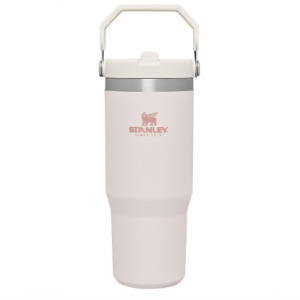 Stanley IceFlow Stainless Steel Tumbler with Straw - Vacuum Insulated Water Bottle for Home, Offic