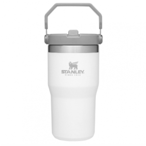 Stanley  IceFlow 不锈钢吸管保温杯 20oz