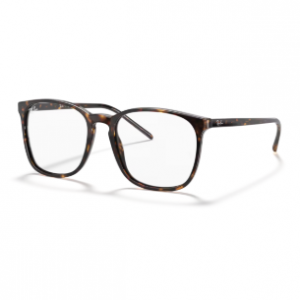 Ray-Ban RB5387 Optics