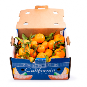 箱装带枝无籽蜜橘 9 磅 果肉纤嫩,甜美多汁