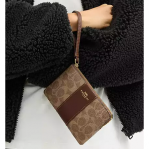 Corner Zip Wristlet In Signature Canvas With Stripe