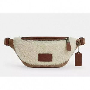 Warren Mini Belt Bag In Signature Canvas