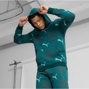 PUMA Essentials Logo Lab Winter Snowflake 连帽卫衣