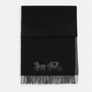 Coach Horse And Carriage Double Face 围巾