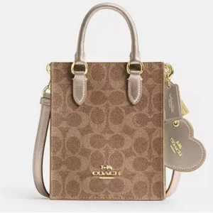 Coach Boxed Mini 风琴托特包