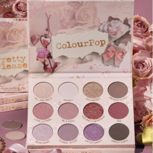 Pretty Please Coquette-Inspired 眼影盘