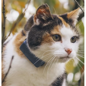 40% off GPS Tracker for Cats @Tractive