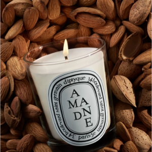 New! Amande (Almond) Classic Candle @ Diptyque