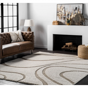 Shop Premium Outlets Select nuLOOM Area Rug on Sale 