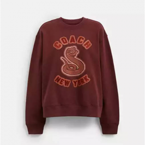 Coach New Year 卫衣