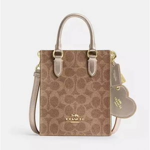 Coach Boxed Mini 风琴包