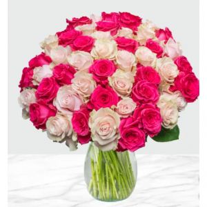 Pre-order Valentine's Day 50-stem Hot Pink & Light Pink Roses