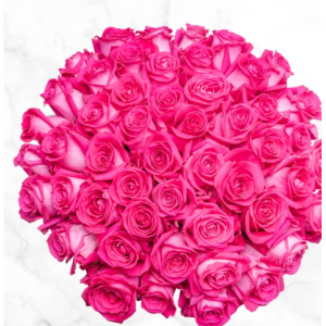 Pre-order Valentine's Day 50-stem Hot Pink Roses