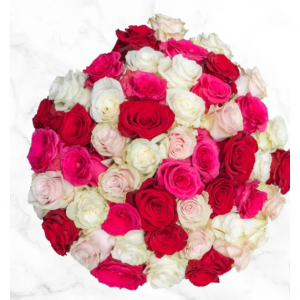 Pre-order Valentine's Day 50-stem Shades of Pink Roses