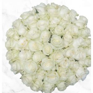 Pre-order Valentine's Day 50-stem White Roses