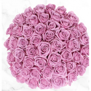 Pre-order Valentine's Day 50-stem Purple Roses