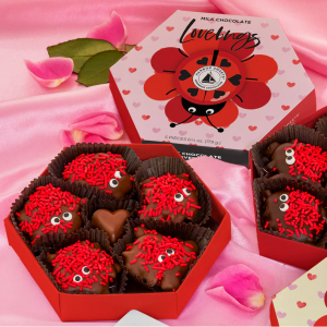 Harbor Sweets 牛奶巧克力礼盒 - 5颗