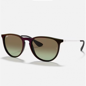 Ray-Ban Erika Classic