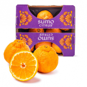 Sumo相撲橘特大號 禮盒裝 4.5-5 磅