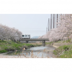 2025福冈6种交通卡/票券详解及购买攻略（使用范围+价格+购买方式+有效期）