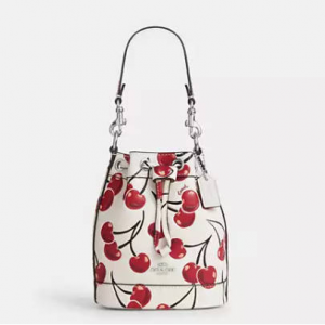 Coach Mini 水桶包