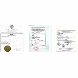 2025最新海牙认证（Apostille）攻略（办理流程及时间+材料和费用+有效期+成员国+常见问题）