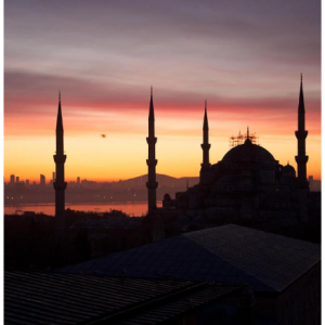 戴安娜夫人酒店Lady Diana Hotel