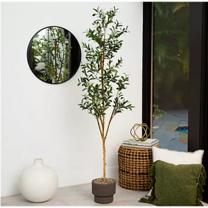 Nearly Natural 6' Artificial Olive Tree with Natural Trunk @ QVC