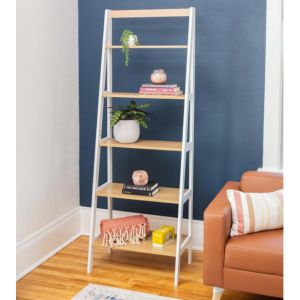 Safco EC8998BL Five Tier Free Standing Ladder ShelfBookcase @ Amazon