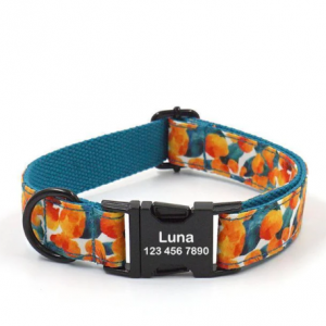 Personalized Pet Collars - Print Custom Dog Collar with Leash Set for $14.98 @iTalkPet