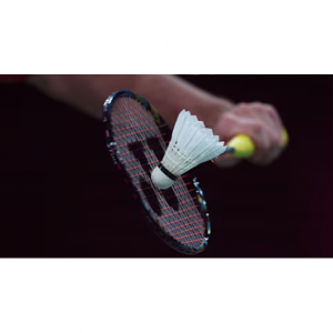 2025世界羽毛球赛事级别排名及时间汇总（附积分+奖金）- 汤尤杯、苏杯、奥运会、世锦赛、巡回赛等大盘点！