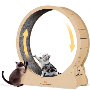 Homegroove Cat Exercise Wheel for Indoor Cat, 45" Large XL Cat Running Wheel with Carpeted Runway