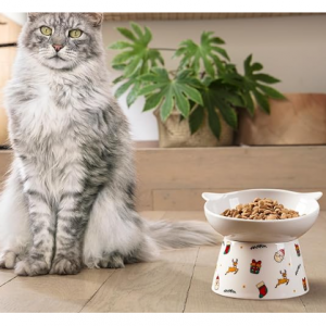 Wellbro Ceramic Raised Cat Bowl，Tilted Raised Bowl Anti Vomit Bowls @ Amazon