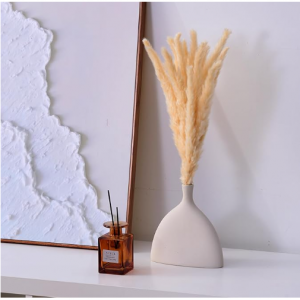 15 Pcs Pampas Grass by Boundless Lifestyle @ Amazon