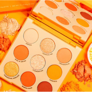 Orange You Glad? Orange-Tone眼影盘