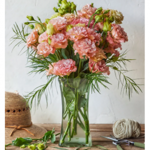 洋桔梗，浅杏色