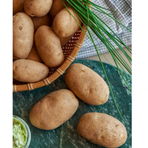 落基山赤褐色土豆
