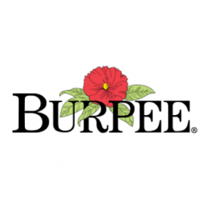 Burpee Gardening水果、蔬菜、鮮花種子熱賣 