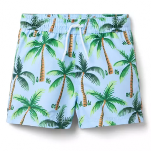 棕榈树泳裤