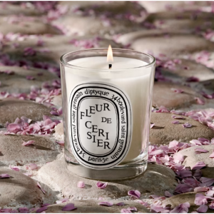 New! Fleur de Cerisier (Cherry Blossom) Classic Candle 6.5oz @ Diptyque 