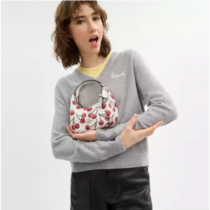 60% Off Carmen Mini Crossbody Bag With Cherry Print @ Coach Outlet