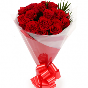 20朵紅玫瑰