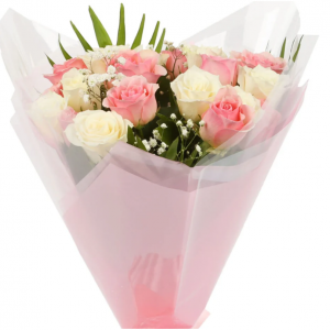 20朵甜美粉紅和白玫瑰